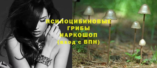 2c-b Костерёво