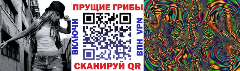 Купить закладки  Тамбов  Псилоцибиновые грибы GOLDEN TEACHER 